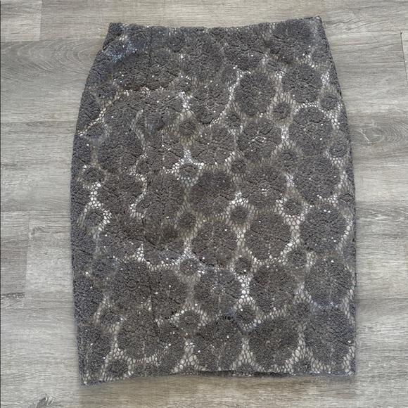 NWT Ann Taylor Silver Lace Overlay Sz 2 mini skirt - Picture 2 of 7